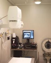 Ospedale Veterinario San Francesco immagine 16