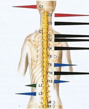 Float und Chiro Praxis Meersburg Bild 11
