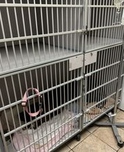 West Ridge Animal Hospital image 2