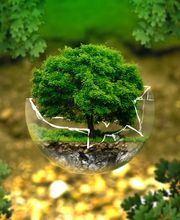 Peter Pfister AG Bild 3