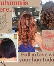 FS Cut & Color (Crestview, FL) image 1