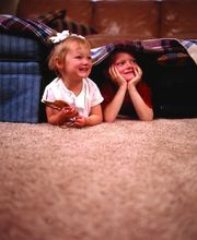 Premier Chem-Dry image 13