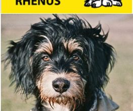 Tierklinik Rhenus AG Bild 7