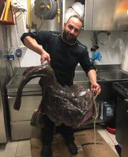 Gallery Professionale