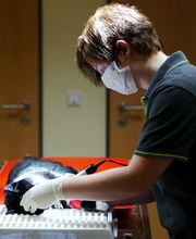 Tierärzte Mettendorf Bild 7