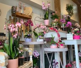 Galley fleurs Bild 6
