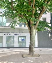 Clínica Dental Vitaldent imagen 10