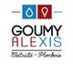 Goumy Alexis