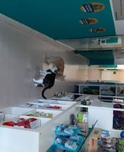 clinica-veterinaria-bau-bau-4.jpg