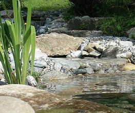 Wasser ist ein Lebenselixier