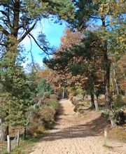 Mookerheide