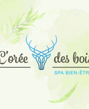 Spa L'orée des bois image 12