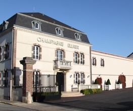 Champagne Ellner image 7
