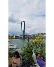 DUMBO House image 15