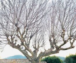 LB Paysage image 12