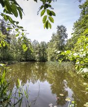 FriedWald Hasbruch Bild 5