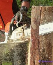 R.Evan Elagage Abattage image 6