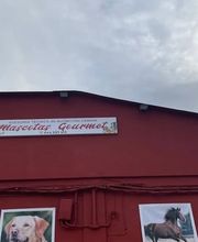 Mascotas gourmet imagen 9