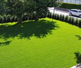 Scheuner Gartenbau AG Bild 1
