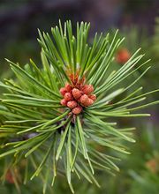 Raumfreuden, Irene Kryenbühl Bild 12