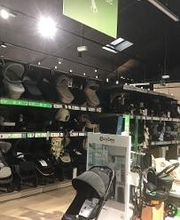 Orchestra VANNES image 10