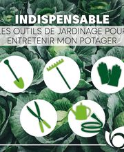 Point Vert Valcadis image 4