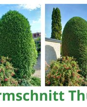 FormschnittThuja