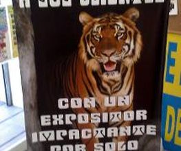 Copias Pradillo imagen 11
