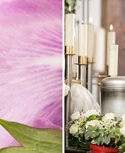 FLEURS ET PASSION image 1