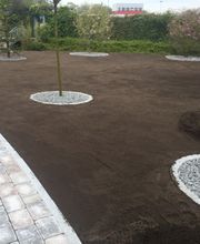 Thies Dölger Gartenbau Bild 9