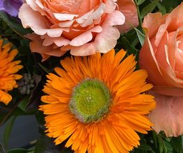 Blumen REIBOLD Bild 1