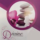 Divine institut