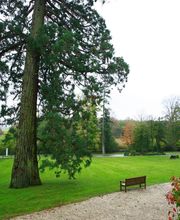 EHPAD Résidence Château de Vernange image 3