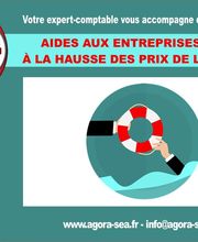 Agora Sea Expertise Comptable L'isle-adam 95290 image 15