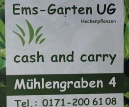 Bernhard Brand Bild 3