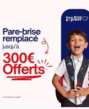 PARE BRISE EXPRESS BRIEY image 1
