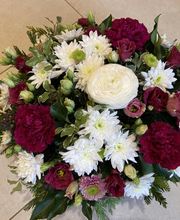 Fleurs d'Elfes Bild 9