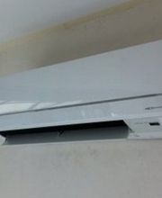 Cavaillé Izard image 6