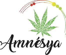 Amnésya CBD image 4
