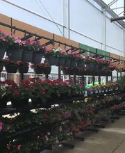 Tractor Supply Co. image 2