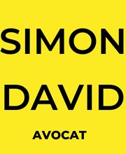 Simon David image 2