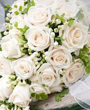 Bullo Luca Fiori Bild 1