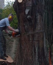 Gestin Environnement image 9