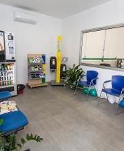 Euromaster Lentisco Gomme immagine 15