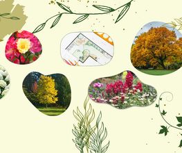 MON PLAN VEGETAL image 1