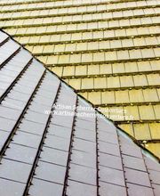 Scherrer Couverture image 18