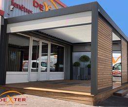 Dexter image 3