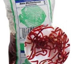 AKRIDA GmbH Bild 13