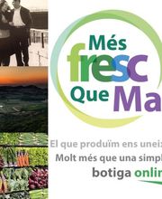 MES FRESC QUE MAI S.L. imagen 8
