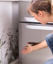 Schimmel Experten - Sirnach Bild 11